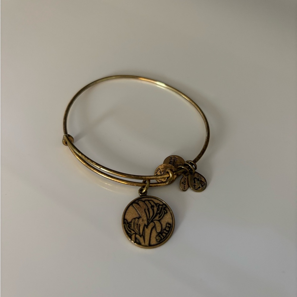 Alex and Ani Gold Bracelet with Charms